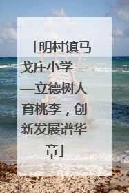 明村镇马戈庄小学——立德树人育桃李，创新发展谱华章