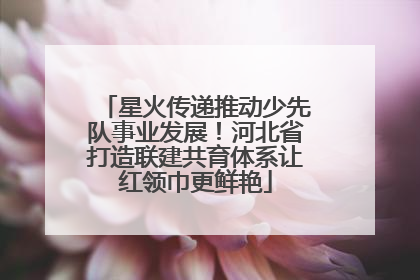 星火传递推动少先队事业发展！河北省打造联建共育体系让红领巾更鲜艳
