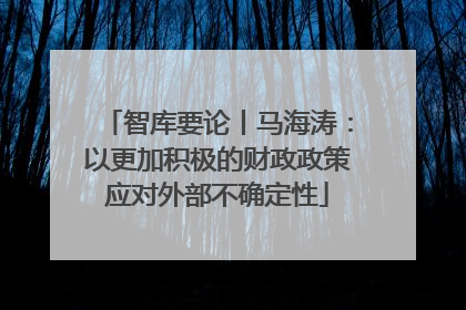 智库要论丨马海涛：以更加积极的财政政策应对外部不确定性