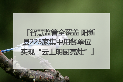 智慧监管全覆盖 阳新县225家集中用餐单位实现“云上明厨亮灶”