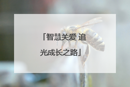 智慧关爱 追光成长之路