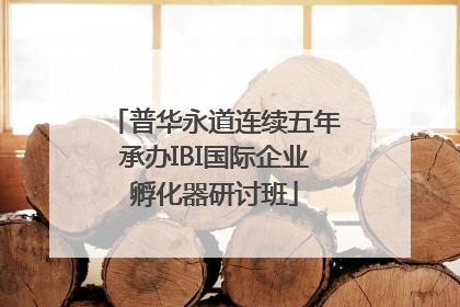 普华永道连续五年承办IBI国际企业孵化器研讨班