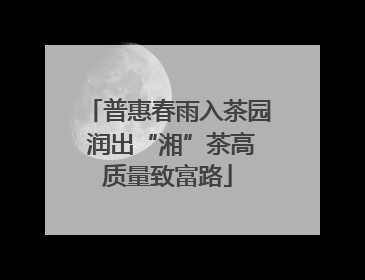 普惠春雨入茶园 润出“湘”茶高质量致富路