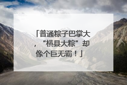 普通粽子巴掌大，“横县大粽”却像个巨无霸！