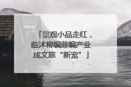 景观小品走红，临沭柳编藤编产业成文旅“新宠”