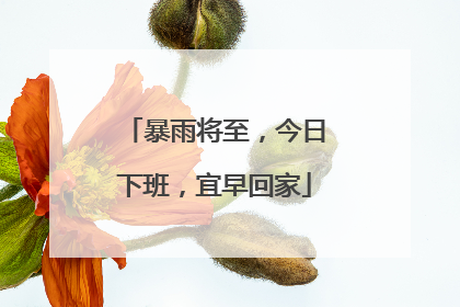 暴雨将至，今日下班，宜早回家