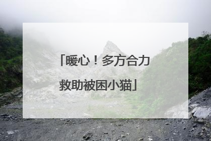 暖心！多方合力救助被困小猫