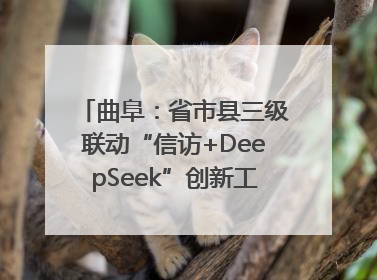 曲阜：省市县三级联动“信访+DeepSeek”创新工作新闻发布会举行