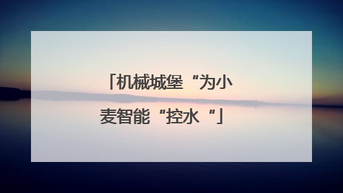 机械城堡“为小麦智能“控水“