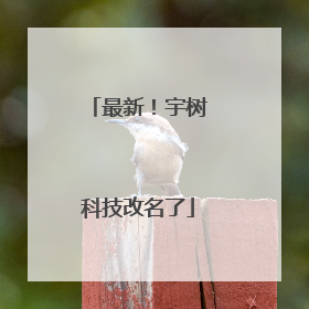 最新！宇树科技改名了