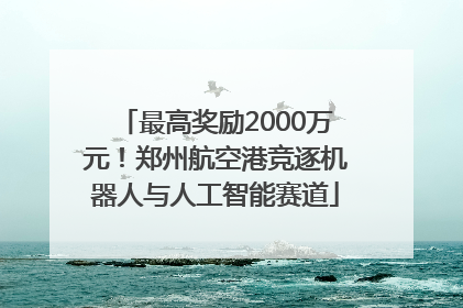 最高奖励2000万元！郑州航空港竞逐机器人与人工智能赛道