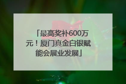 最高奖补600万元！厦门真金白银赋能会展业发展