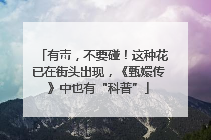 有毒，不要碰！这种花已在街头出现，《甄嬛传》中也有“科普”