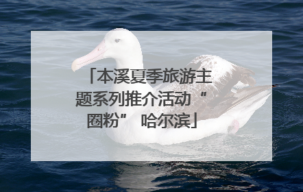 本溪夏季旅游主题系列推介活动“圈粉” 哈尔滨