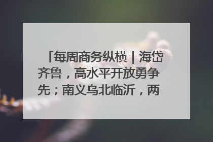 每周商务纵横｜海岱齐鲁，高水平开放勇争先；南义乌北临沂，两扇窗里观外贸