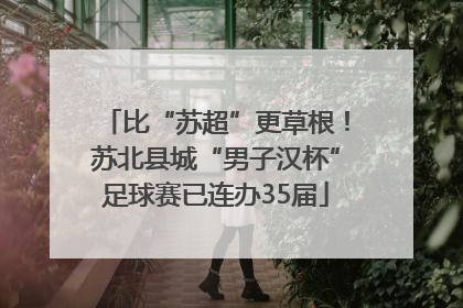 比“苏超”更草根！苏北县城“男子汉杯”足球赛已连办35届