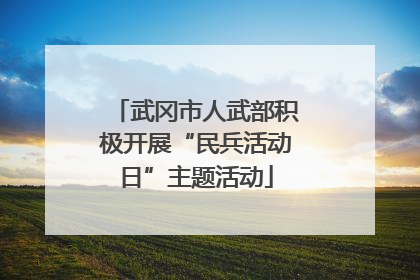 武冈市人武部积极开展“民兵活动日”主题活动