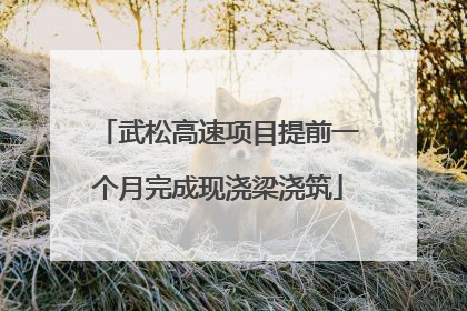 武松高速项目提前一个月完成现浇梁浇筑