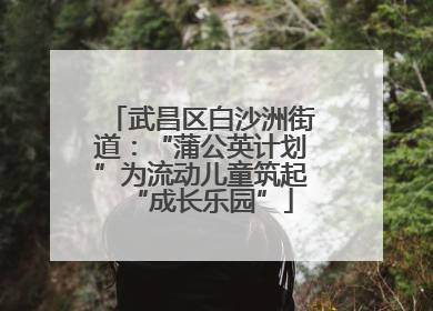 武昌区白沙洲街道：“蒲公英计划”为流动儿童筑起“成长乐园”