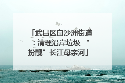 武昌区白沙洲街道：清理沿岸垃圾 “扮靓”长江母亲河
