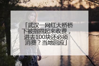 武汉一网红大桥桥下被指圈起来收费，进去100块还必须消费？当地回应