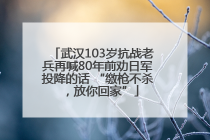 武汉103岁抗战老兵再喊80年前劝日军投降的话 “缴枪不杀，放你回家”