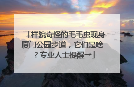 样貌奇怪的毛毛虫现身厦门公园步道，它们是啥？专业人士提醒→