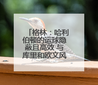 格林：哈利伯顿的运球隐蔽且高效 与库里和欧文风格相似