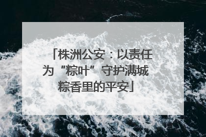 株洲公安：以责任为“粽叶”守护满城粽香里的平安