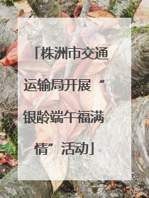 株洲市交通运输局开展“银龄端午福满情”活动