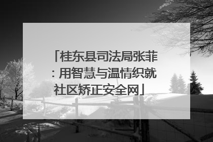 桂东县司法局张菲：用智慧与温情织就社区矫正安全网