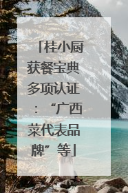 桂小厨获餐宝典多项认证：“广西菜代表品牌”等