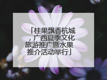 桂果飘香杭城，广西夏季文化旅游推广暨水果推介活动举行