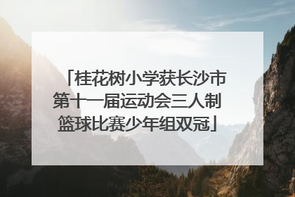 桂花树小学获长沙市第十一届运动会三人制篮球比赛少年组双冠