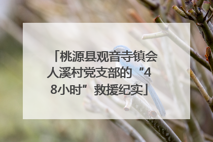 桃源县观音寺镇会人溪村党支部的“48小时”救援纪实