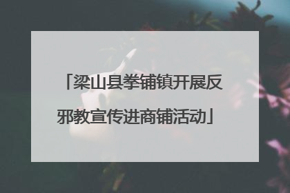 梁山县拳铺镇开展反邪教宣传进商铺活动