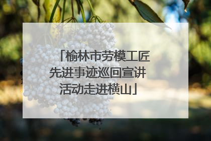 榆林市劳模工匠先进事迹巡回宣讲活动走进横山