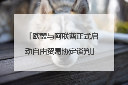 欧盟与阿联酋正式启动自由贸易协定谈判