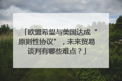 欧盟希望与美国达成“原则性协议”，未来贸易谈判有哪些难点？