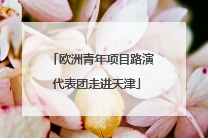 欧洲青年项目路演代表团走进天津