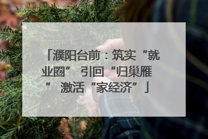 濮阳台前：筑实“就业圈” 引回“归巢雁” 激活“家经济”