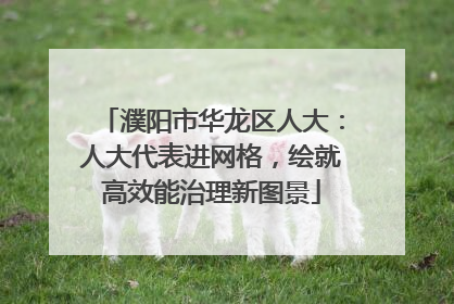 濮阳市华龙区人大：人大代表进网格，绘就高效能治理新图景