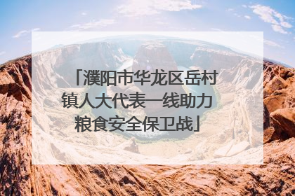 濮阳市华龙区岳村镇人大代表一线助力粮食安全保卫战
