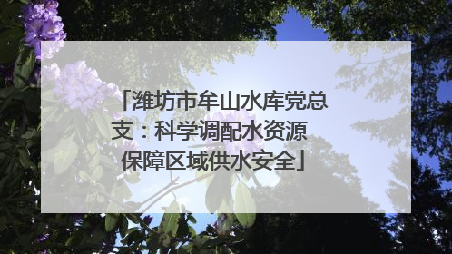 潍坊市牟山水库党总支：科学调配水资源 保障区域供水安全