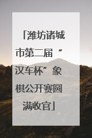 潍坊诸城市第二届“汉车杯”象棋公开赛圆满收官