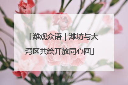 潍观众语｜潍坊与大湾区共绘开放同心圆