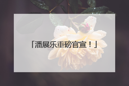 潘展乐重磅官宣！