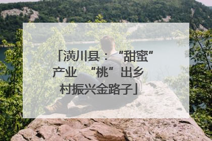 潢川县：“甜蜜”产业  “桃”出乡村振兴金路子