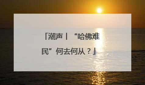 潮声丨“哈佛难民”何去何从？