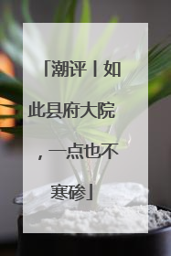 潮评丨如此县府大院，一点也不寒碜